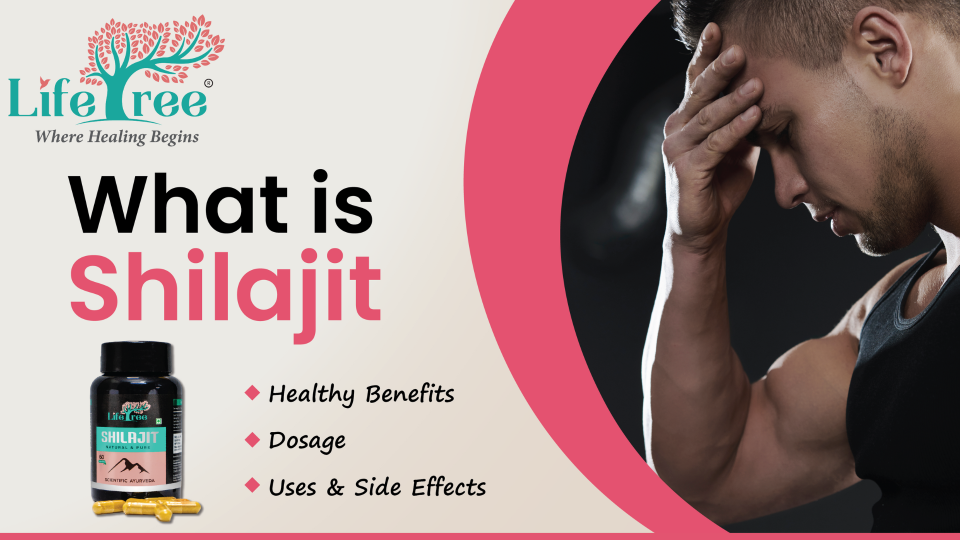 What is Shilajit – It’s Benefits and Uses