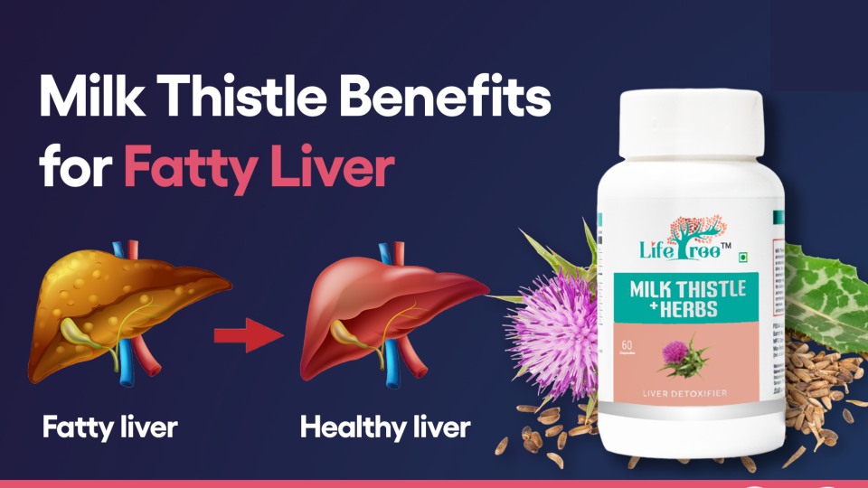 Milk Thistle Benefits for Fatty Liver